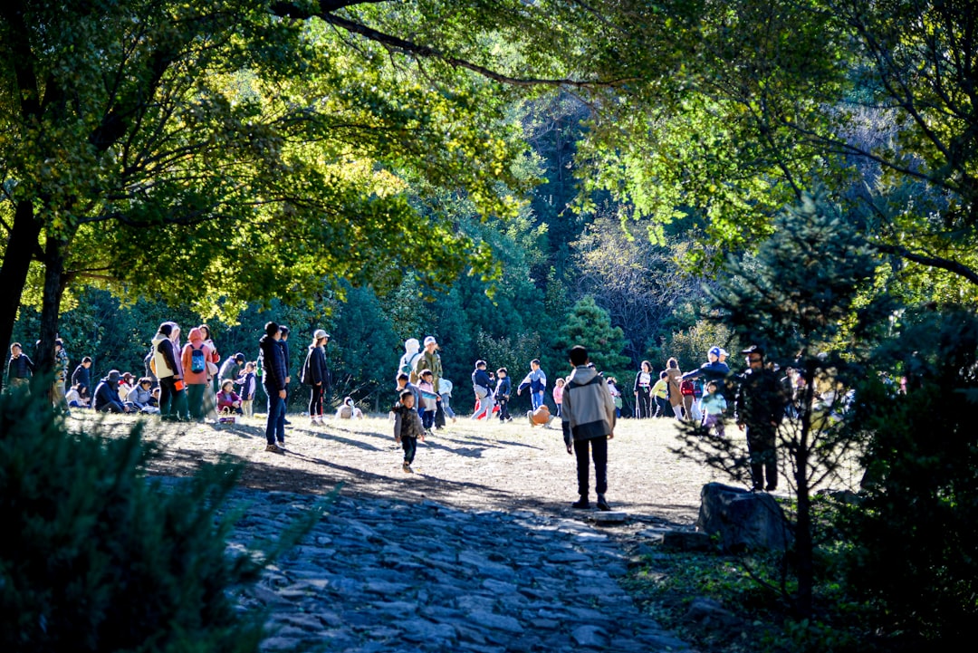 People walking on a path in a sunlit forest.
