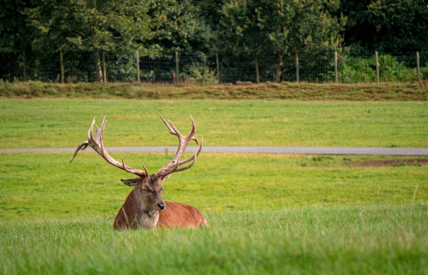 Elk sollicitatiegesprek hetzelfde opbouwen levert betere keuzes op
