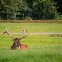 Elk sollicitatiegesprek hetzelfde opbouwen levert betere keuzes op