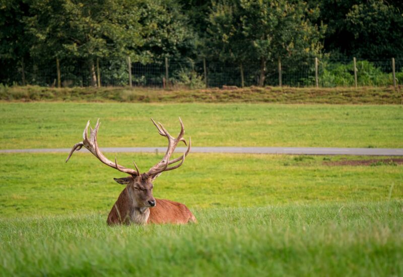 Elk sollicitatiegesprek hetzelfde opbouwen levert betere keuzes op